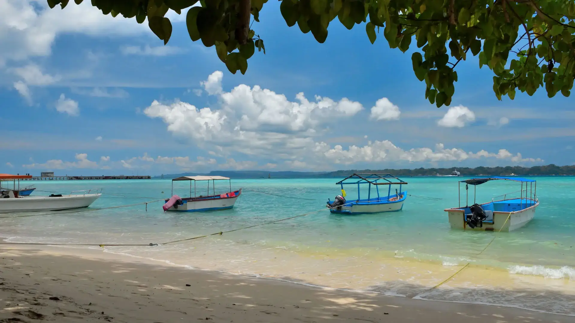Bharatpur Beach Neil Island