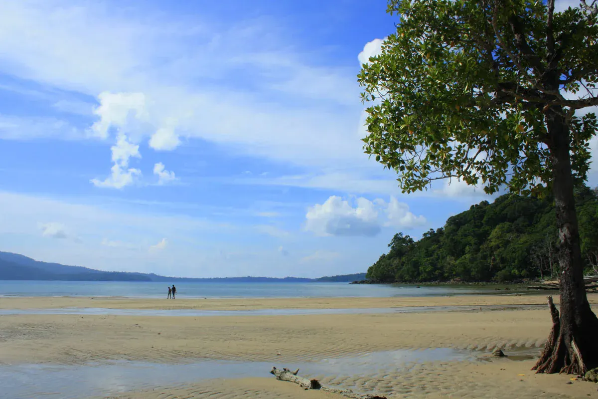Chidiya Tapu Beach Tour