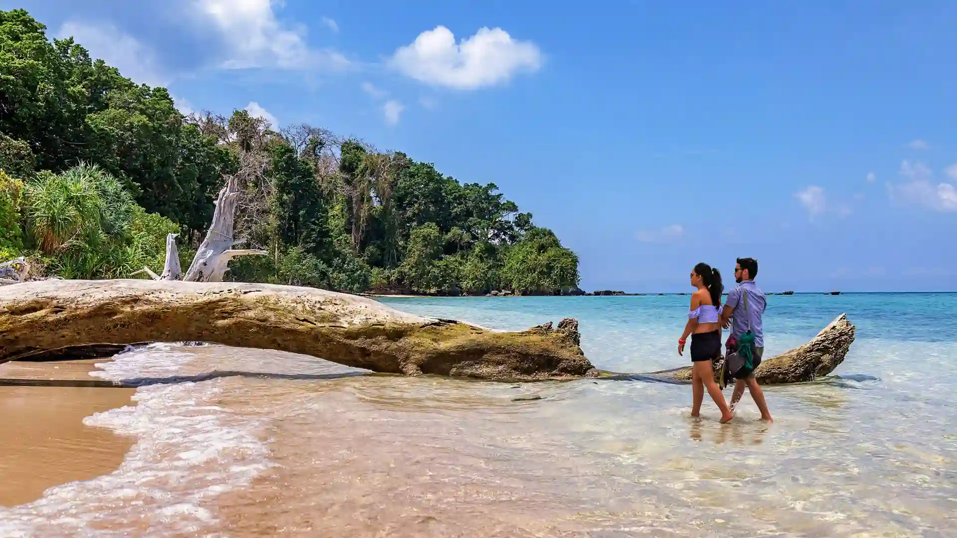 Jolly Buoy Tour Hire