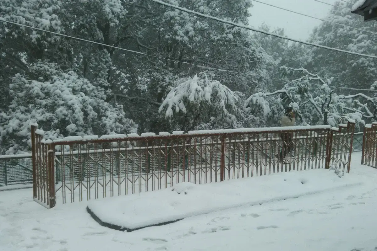 Nanital Snow View Tour