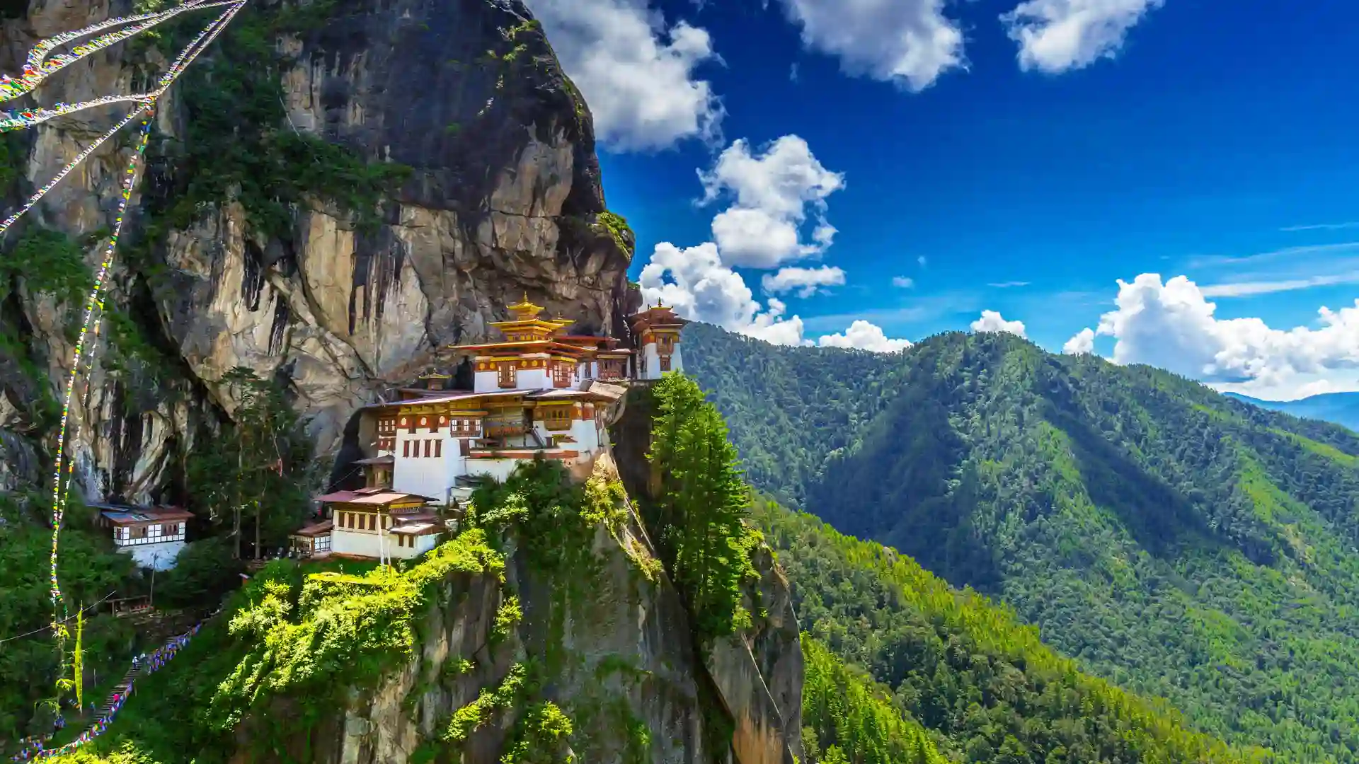 Observatory Hill Tour Hire