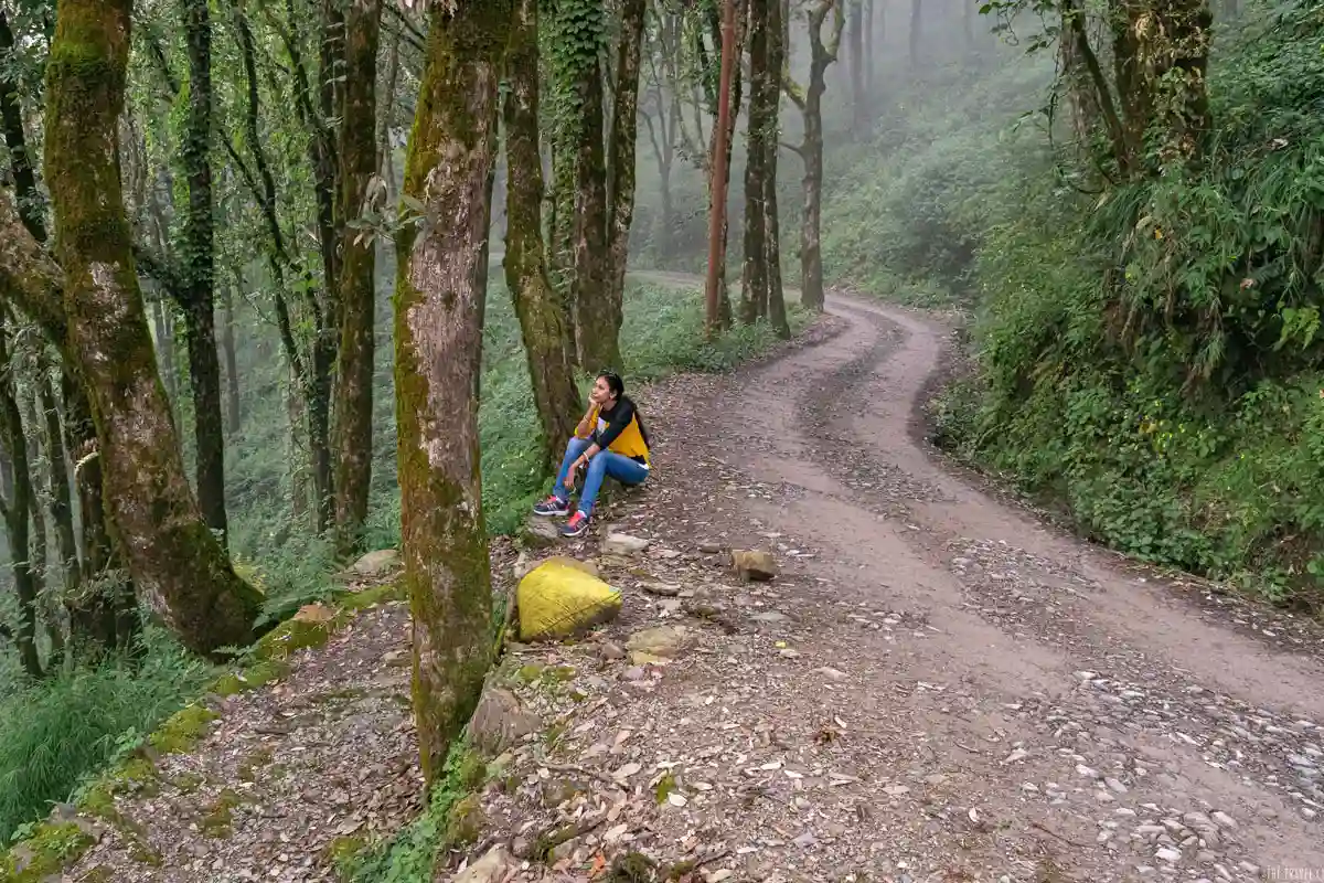 Safdarjung Tomb Delhi