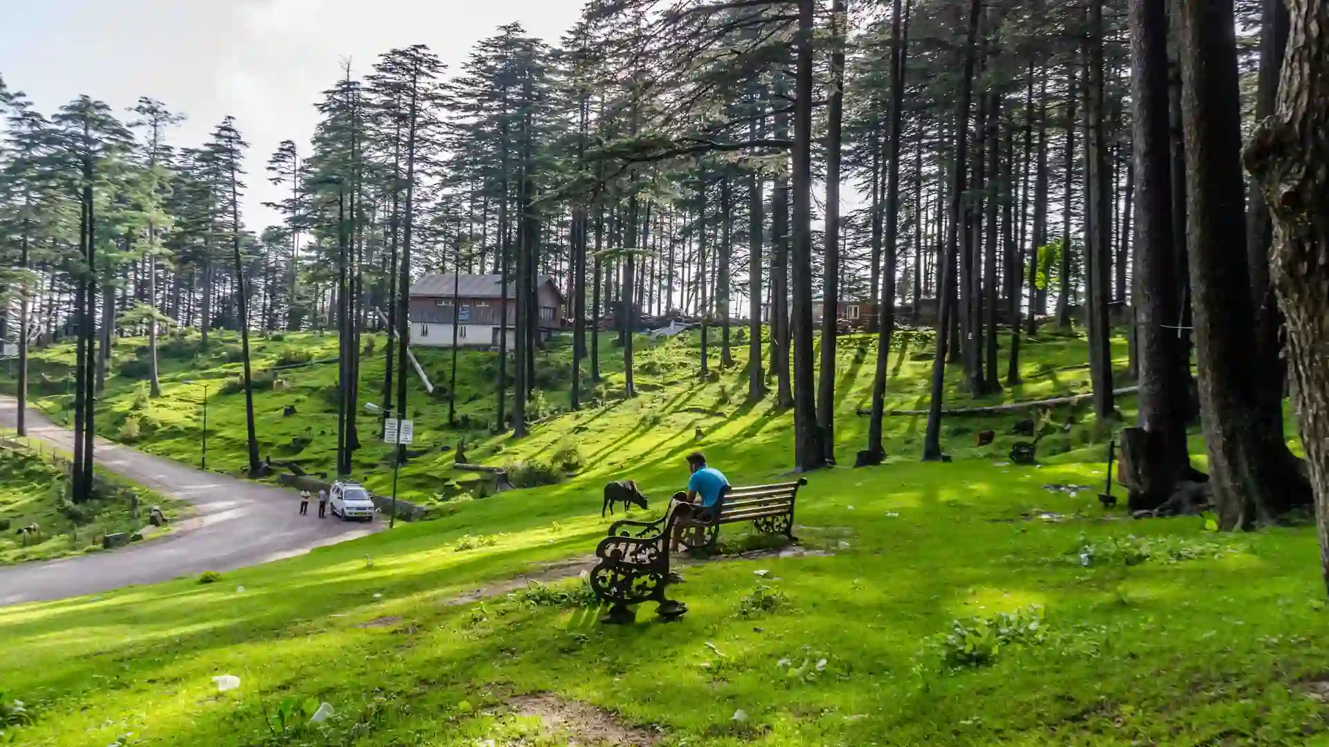 Patnitop Tour Hire