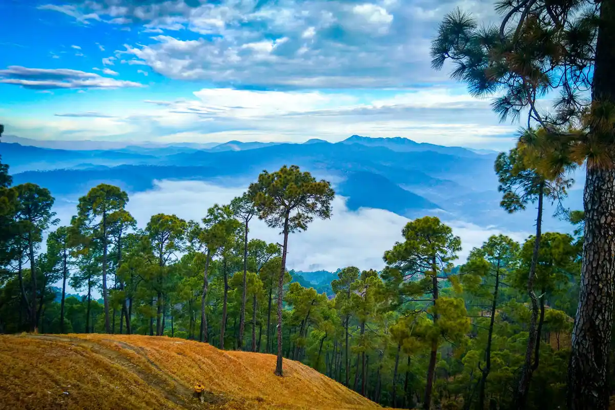 Ranikhet Tour