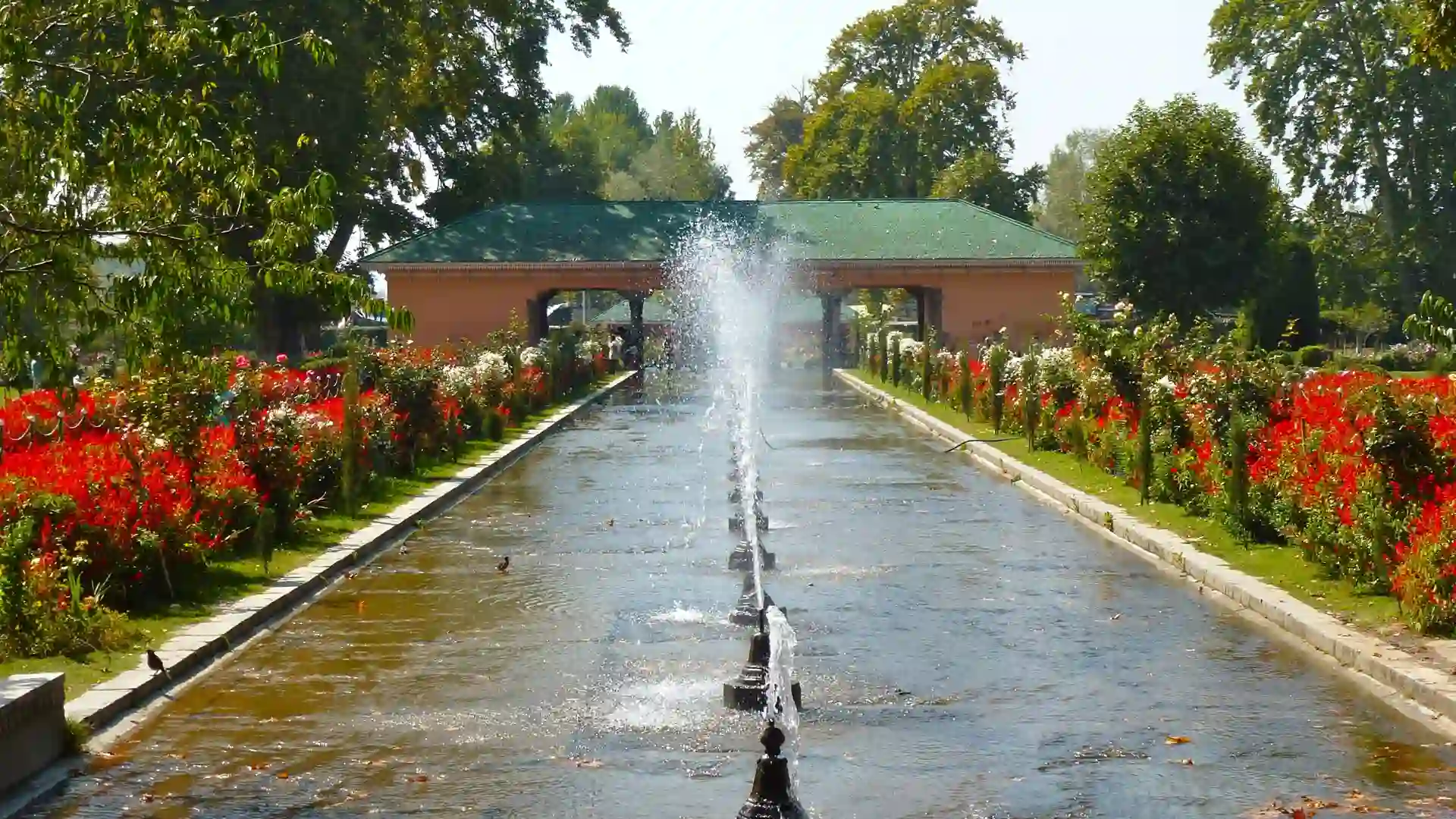 Shalimar Bagh Garden Tour Hire