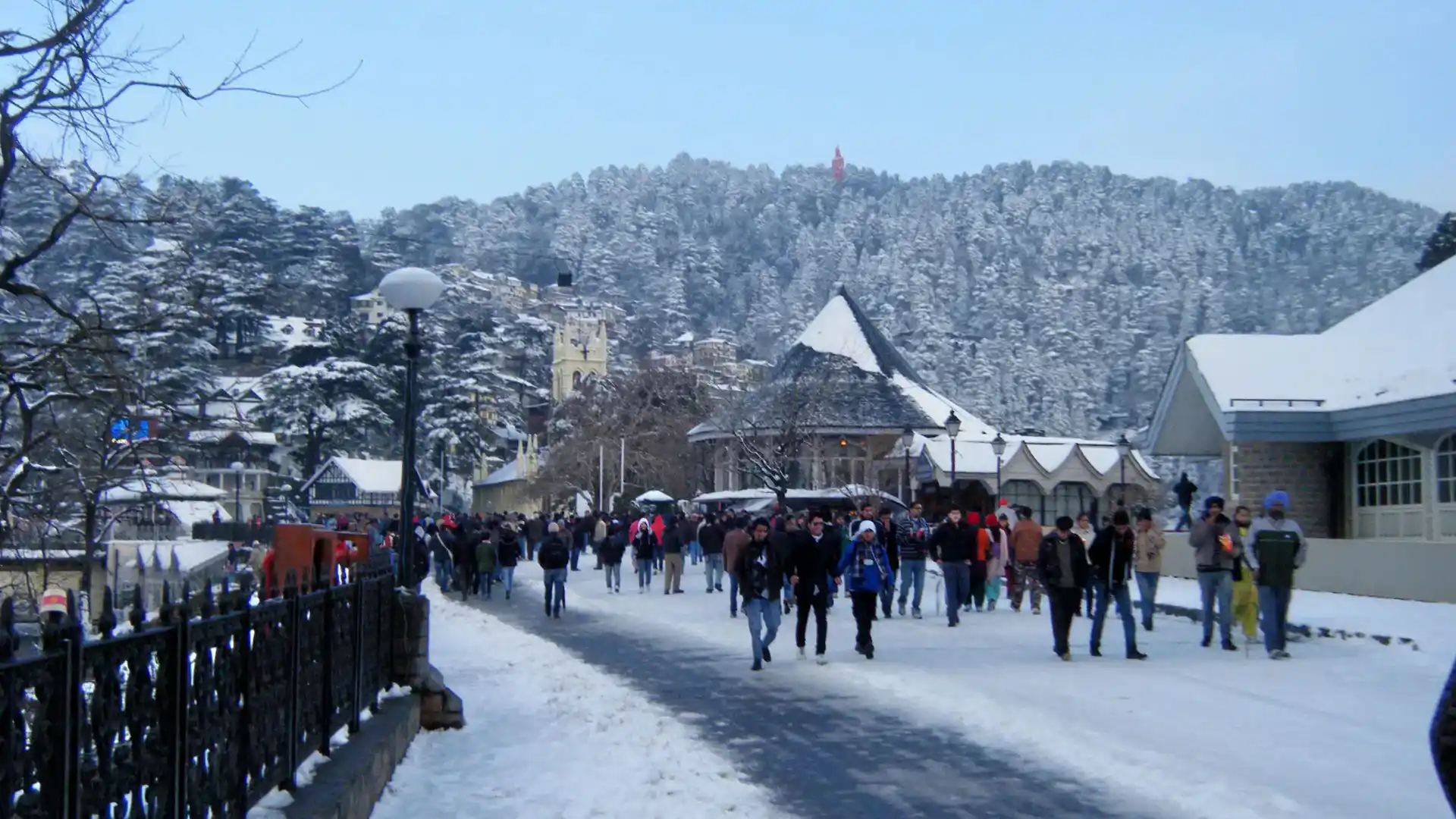 Shimla Tour Hire
