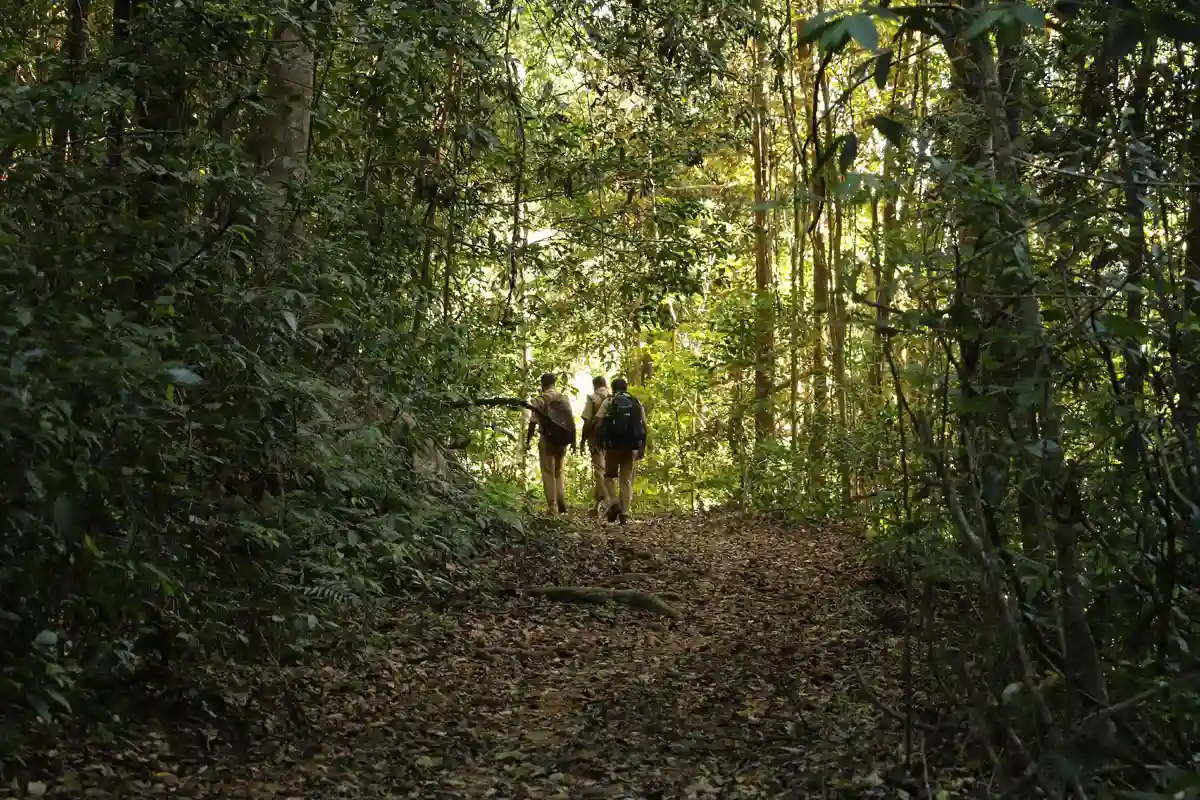 Silent Valley National Park Tour