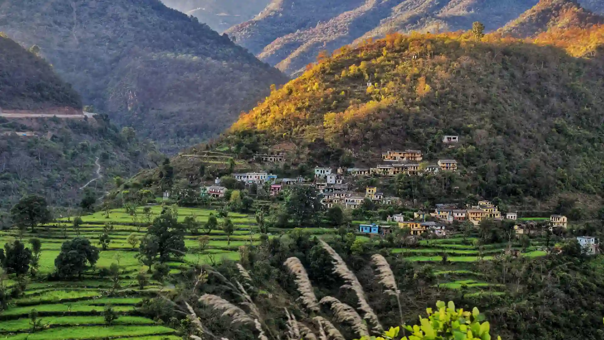 Sitabani Temple Tour Hire