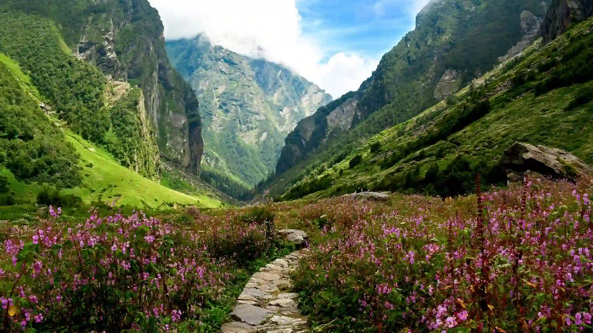 Valley of Flowers